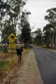 kangaroo schild.JPG (87322 Byte)