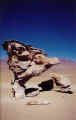 rock.JPG (46847 Byte)