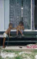 kids.JPG (64500 Byte)