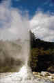 geysir.JPG (55649 Byte)