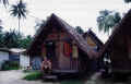 ko_samui.JPG (67004 Byte)